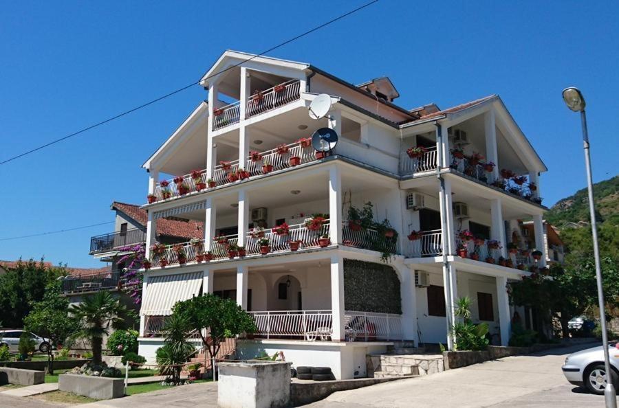 Savo Tivat